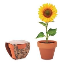 Terracotta-Topf Sonnenblume in holz Terracotta-Topf Sonnenblume in holz