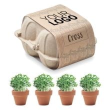 Saat-Set Kresse in beige Saat-Set Kresse in beige