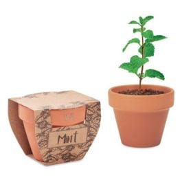 Terrakotta-Topf Minze - holz Terrakotta-Topf Minze - holz