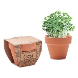 Terrakotta-Topf Kresse - holz Terrakotta-Topf Kresse - holz
