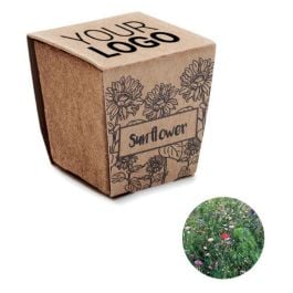 Pflanz-Set Sonnenblume - beige Pflanz-Set Sonnenblume - beige
