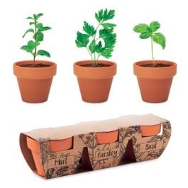 Terracotta-Set Kräuter - holz Terracotta-Set Kräuter - holz