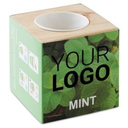 Kräuterpflanz-Set 'Minze'' in holz