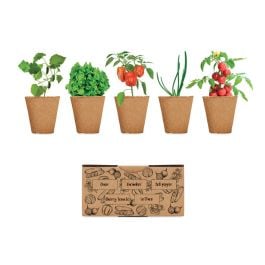 Saat-Set Salat - beige Saat-Set Salat - beige